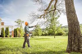 Best Tree Removal  in Urbana, IA